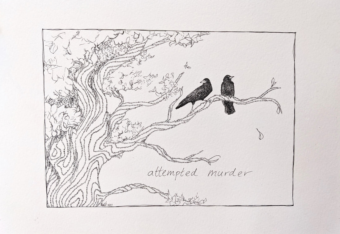 An attempted murder (of crows)!